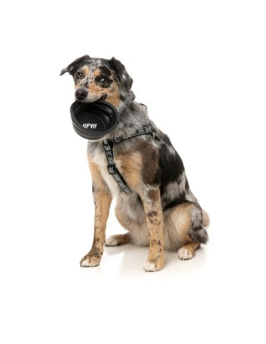 Comedouro dobrável para cão em silicone FuzzYard FY Active 500 ml