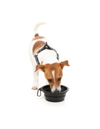 Comedouro dobrável para cão em silicone FuzzYard FY Active 500 ml