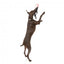 Brinquedo flutuante para cães FuzzYard Fetch N Float pêssego