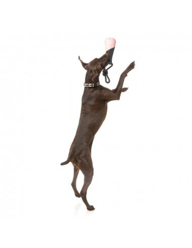 Brinquedo flutuante para cães FuzzYard Fetch N Float pêssego