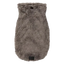 Camisola para cão FuzzYard Turtle Teddy Gunmetal Grey