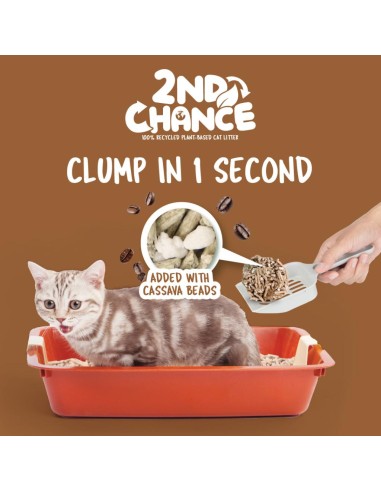 Areia aglomerante para gatos Kit Cat 2nd Chance café 7 L