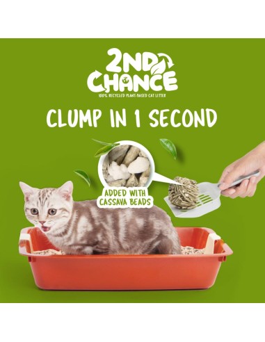 Areia aglomerante para gatos Kit Cat 2nd Chance chá verde 7 L