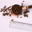 Ração para gatinhos sem cereais Kit Cat No Grain 1 kg