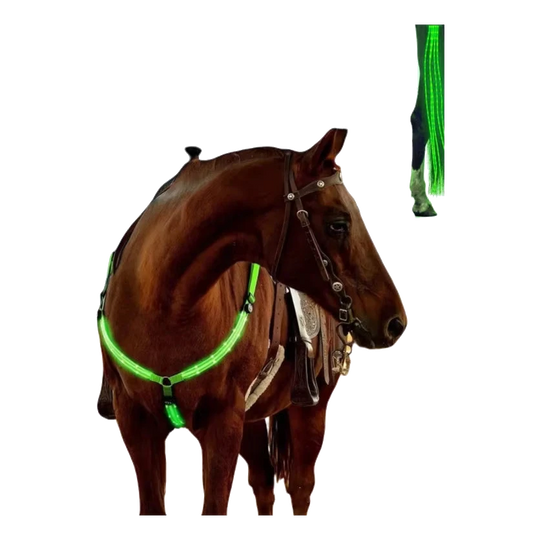 Cavalo com kit de luzes LED verde no peitoral e nas patas