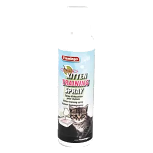 Brinquedo Kitten Trainer para gatos