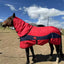 Manta de inverno impermeável para cavalo com capuz – vista 2