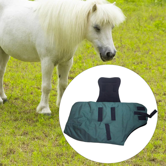 Manta de chuva impermeável e respirável para cavalo