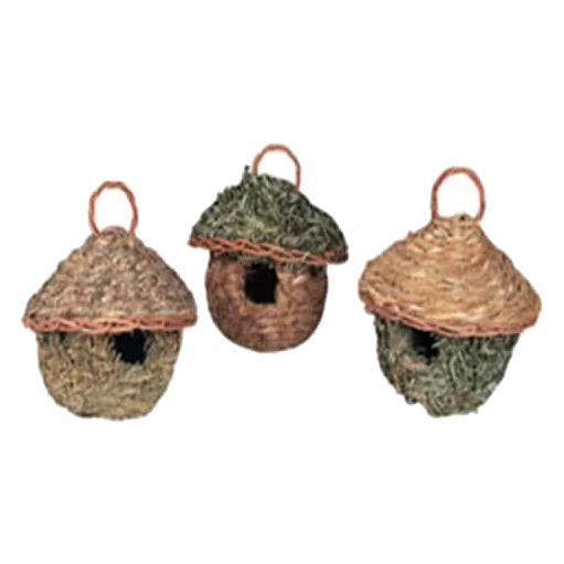 Ninhos tropicais para pássaros