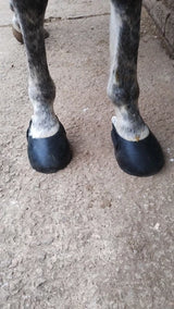 Foto de Anónimo de Botas para cascos de cavalo descalço, tamanhos S e L