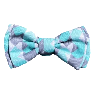 Laço para cão FuzzYard Mint Fizz com velcro