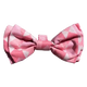 Laço para cão FuzzYard Pink Lemonade com velcro