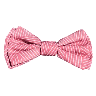 Laço para cão FuzzYard Thornbury Brick Red com velcro