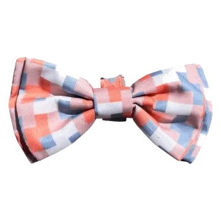 Laço para cão FuzzYard Yazd com velcro
