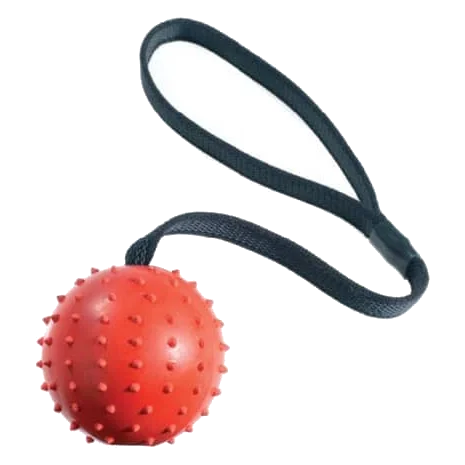 Bola com corda Classic Pimple Ball & Rope para cães, 70 mm
