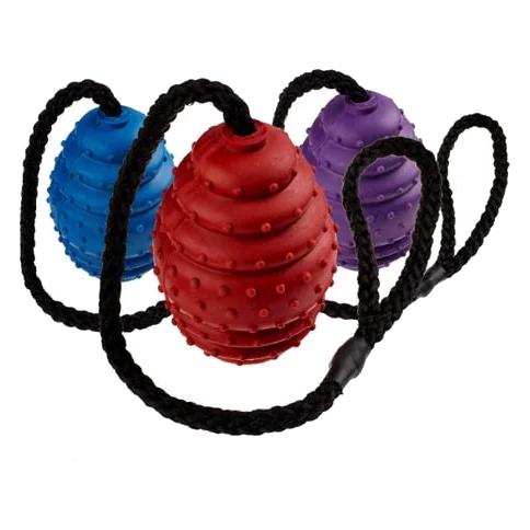 Bola oval de borracha com corda Classic para cães