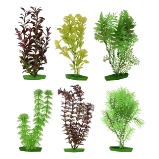 Planta para aquário sortida média, 20 cm