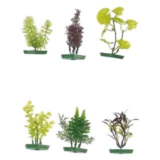 Plantas para aquário pequenas sortidas, 10 cm, 6 unidades
