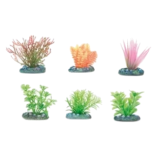 Plantas para aquário pequenas sortidas, 5 cm, 6 unidades