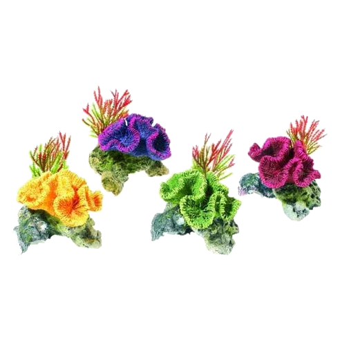 Plantas e coral para aquário