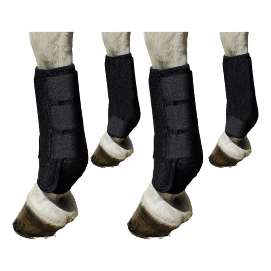 Conjunto de 4 protetores de tendões pretos para cavalo