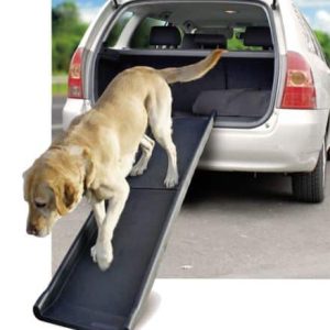 Rampa para cães Gentle Step