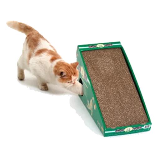 Arranhador de cartão com catnip para gatos