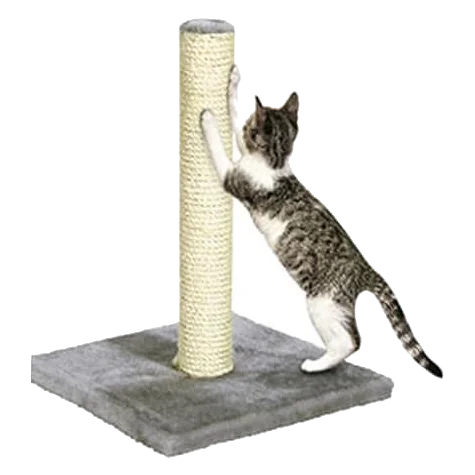 Arranhador Polset para gatos, cinzento
