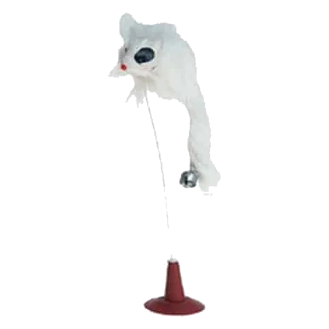 Rato Tip-Top para gatos