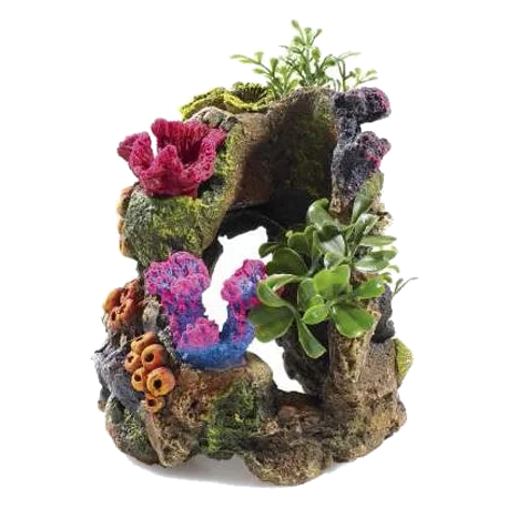 Rochas e plantas decoração para aquário
