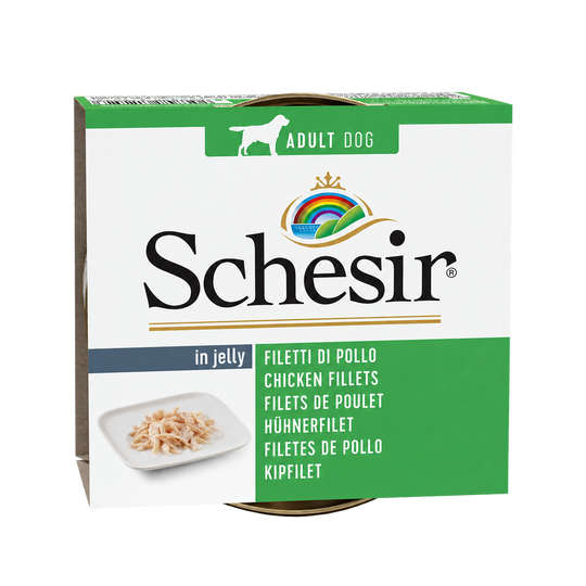Schesir filetes de frango em gelatina para cães adultos, lata de 150 g