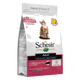 Ração para gatos Schesir Manutenção fiambre, 400 g