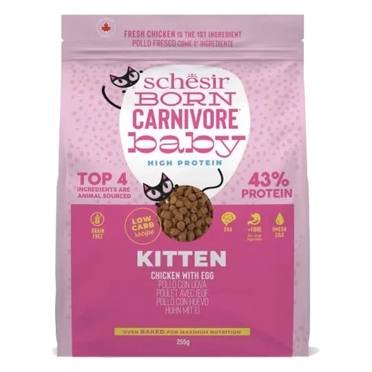 Ração para gatinhos Schesir Born Carnivore frango com ovo, 255 g