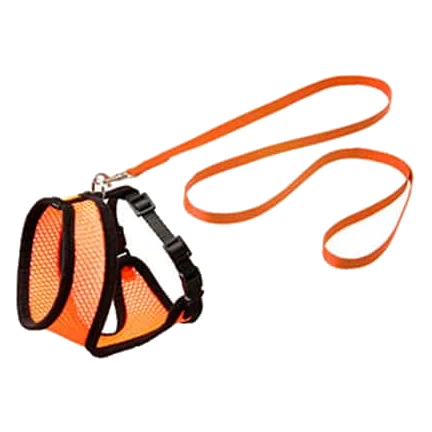 Conjunto peitoral e trela para gatinhos, laranja e preto, 110 cm, 10 mm, tamanho S