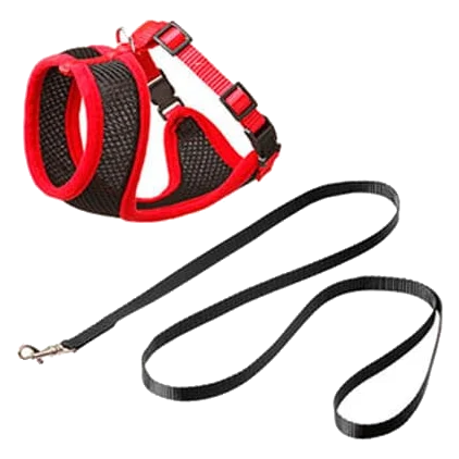 Conjunto peitoral e trela para gatinhos, preto e vermelho, 110 cm, 10 mm, tamanho S