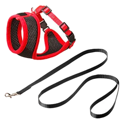 Conjunto peitoral e trela para gatos, preto e vermelho, 120 cm, 15 mm, tamanho L