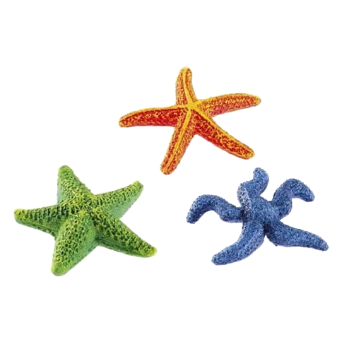 Sortido de estrelas-do-mar para aquário