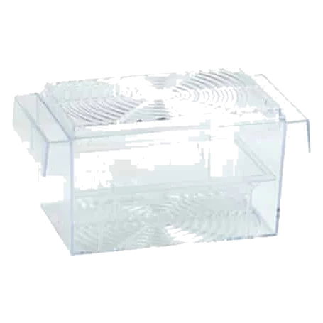 Tanque quadrado para guppys