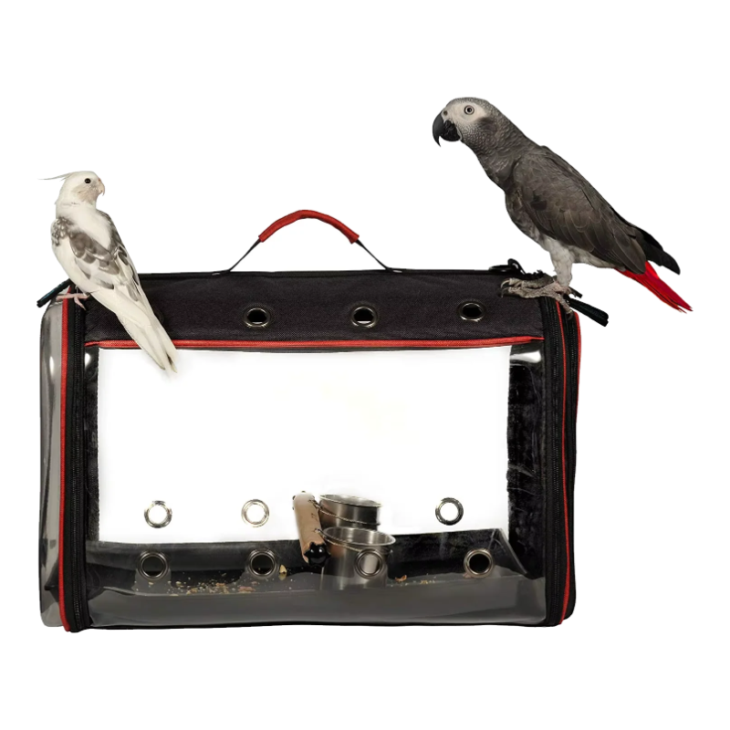 Transportadora dobrável para aves e papagaios com janela transparente e dois papagaios