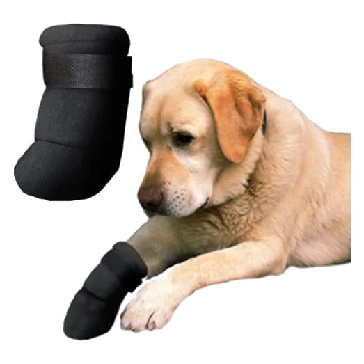 Sapatos de neopreno para cães